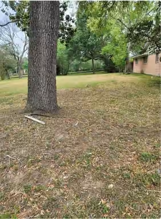 Photo 6 of 8835 Valley View Lane, Houston, TX