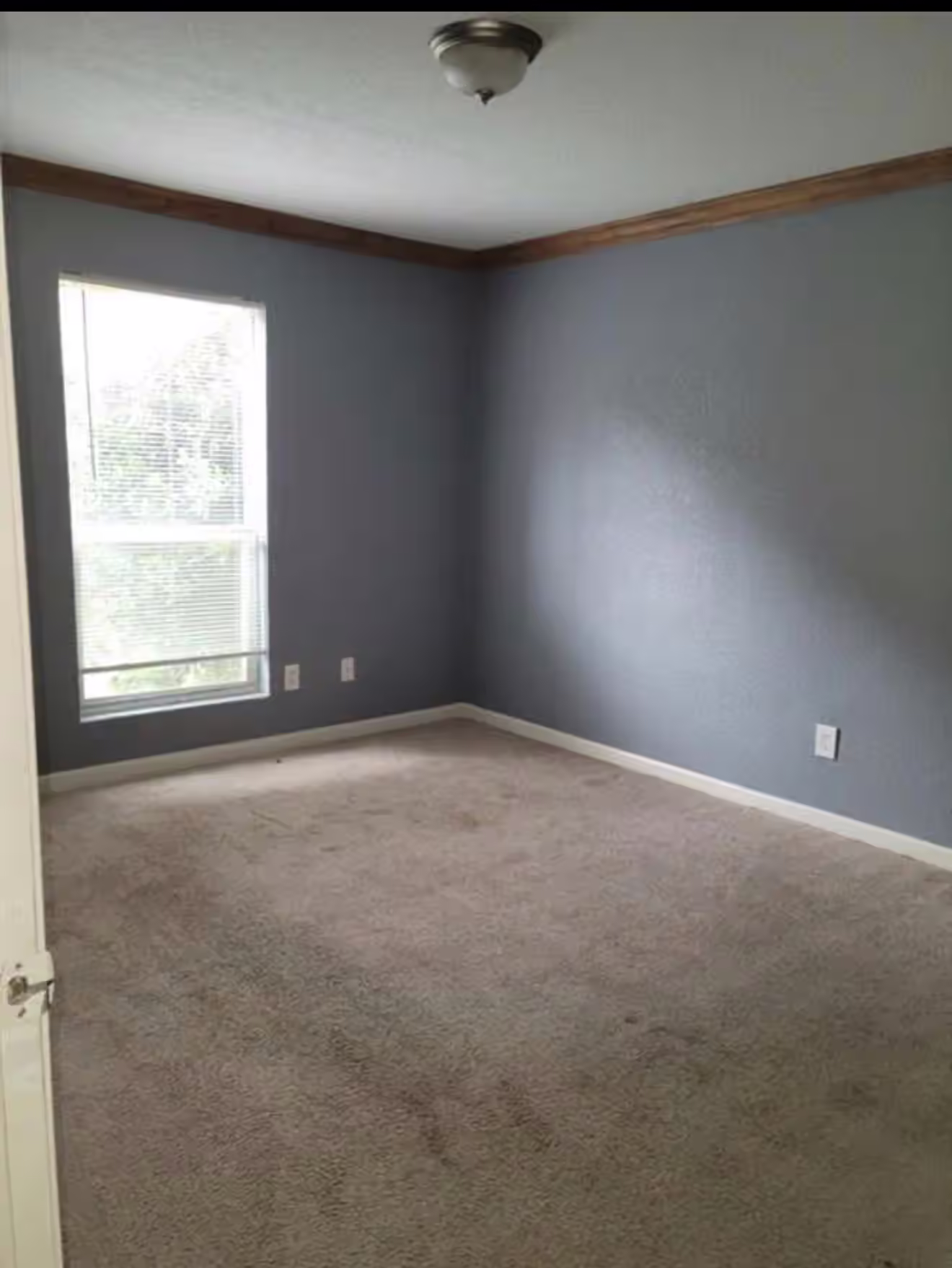 Photo 2 of 8100 Creekbend Drive 171, Houston, TX