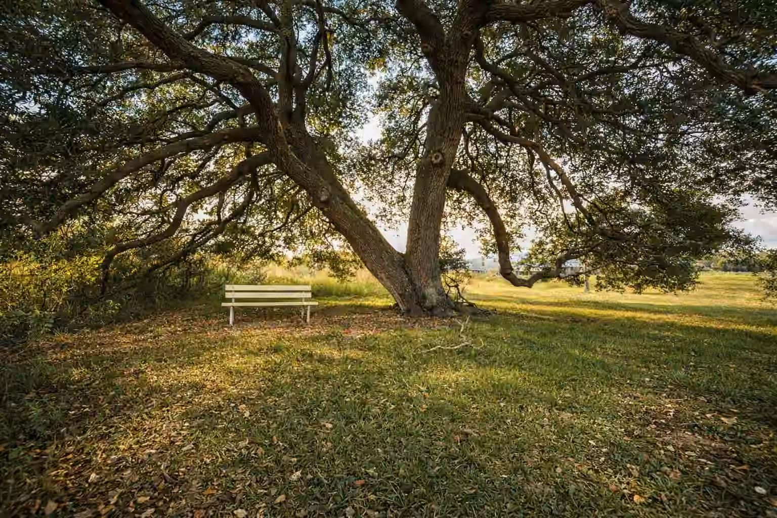 Photo 3 of 1037 Pecan Valley, Wharton, TX