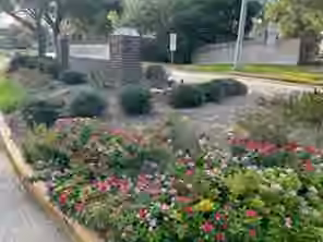 Photo 2 of 7411 Creekfield Drive, Spring, TX