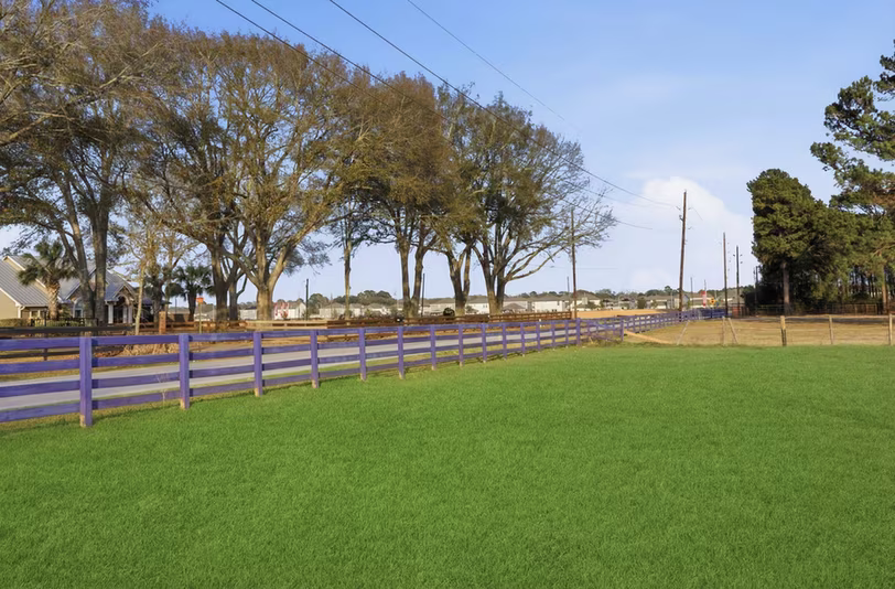 Photo 4 of 25404 Decker Prairie Rosehill Road, Magnolia, TX