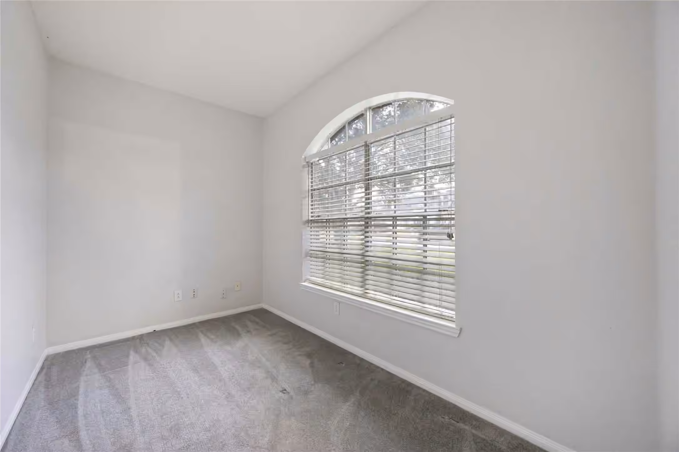 Photo 5 of 15 Finetta Lane, Alvin, TX