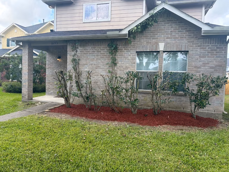 Photo of 11753 Jelicoe Drive, Houston, TX