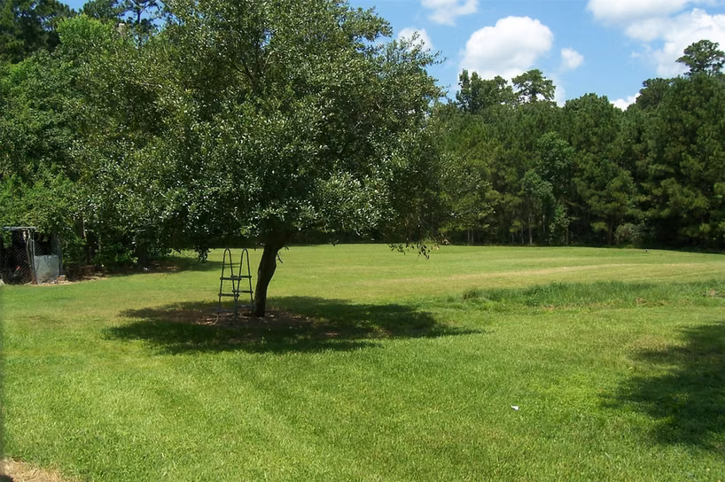 Photo 5 of 12110 HILLCREST DR, Pinehurst, TX