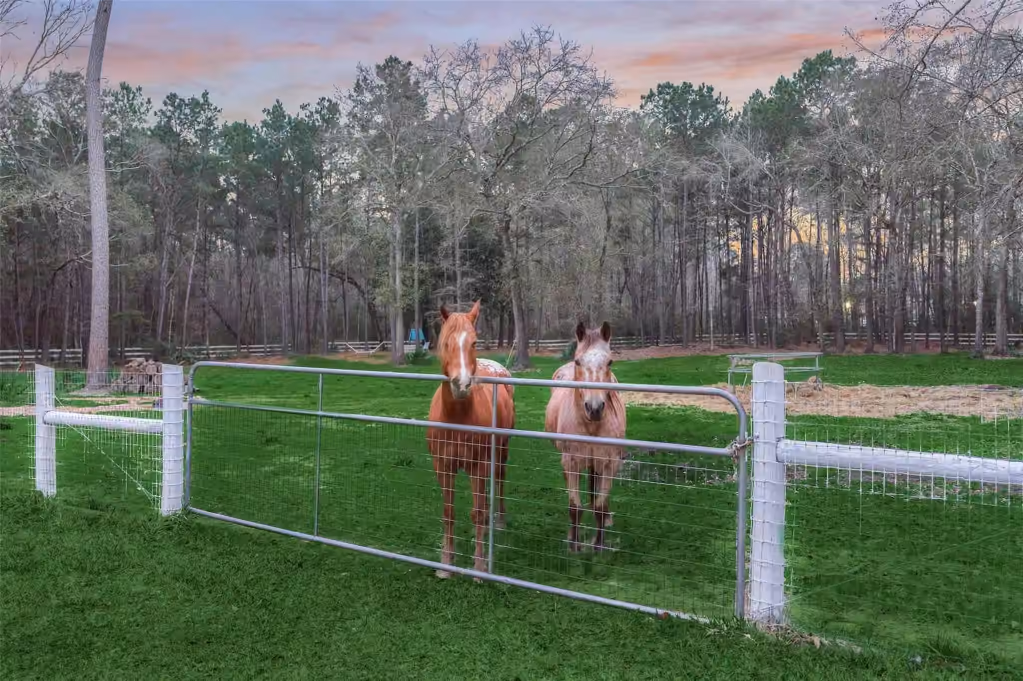 Photo 5 of 7403 Ponderosa Drive, Magnolia, TX