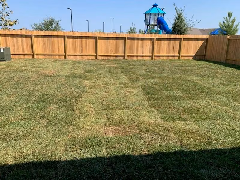 Photo 2 of 23410 Beechtree Gully Lane, Spring, TX