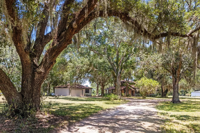 Photo 4 of 21802 Lake View Road, Damon, TX
