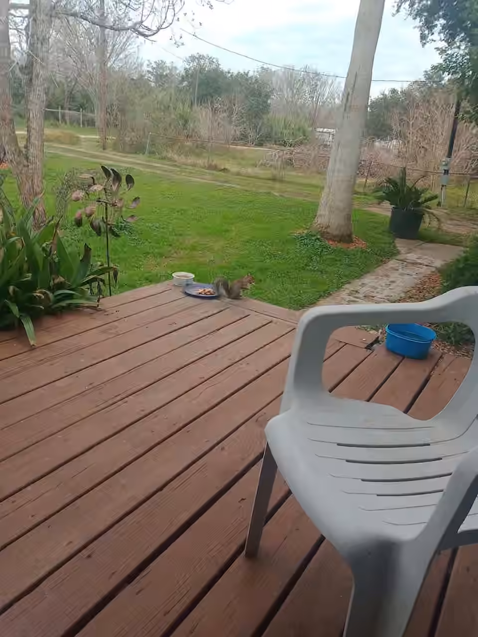 Photo 4 of 6004 Pine Street, Brazoria, TX