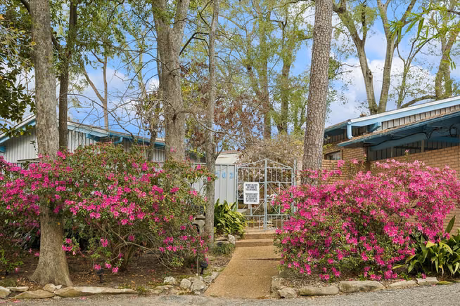 Photo 6 of 202 Pine Hollow Lane, Houston, TX
