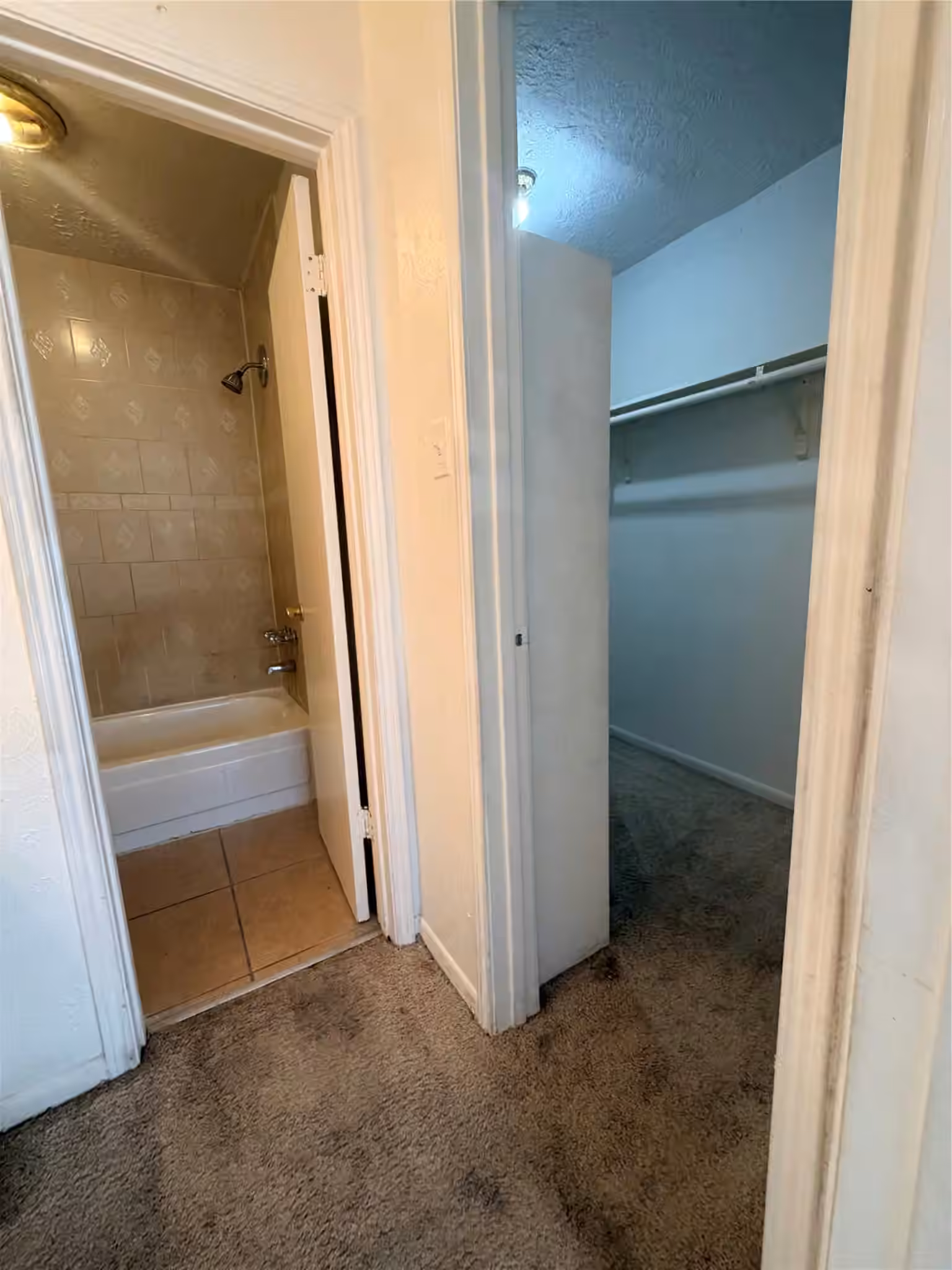 Photo 3 of 12246 Wild Pine Drive C, Houston, TX