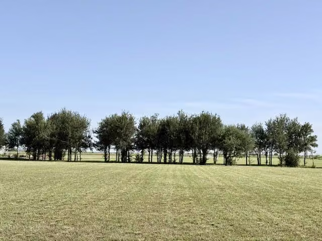 Photo 5 of 7490 Fm 2546 Road 7500, El Campo, TX