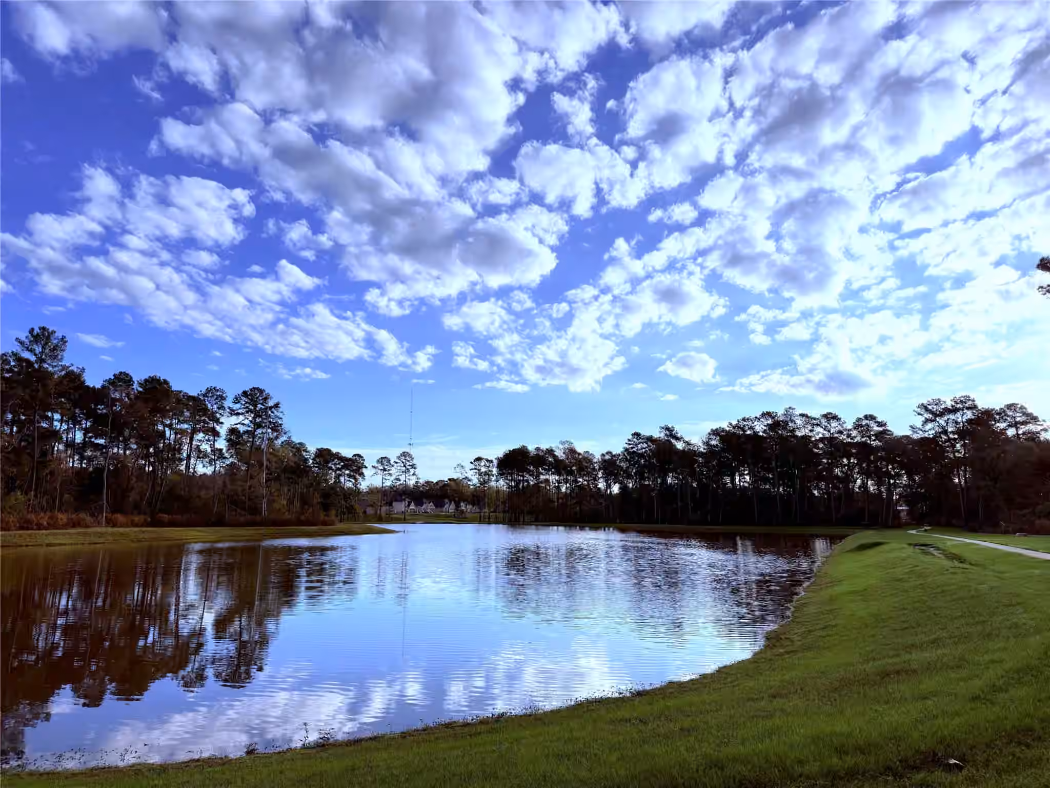Photo 4 of 14858 Whistling Duck Lane, Magnolia, TX