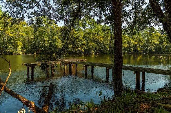 Photo 5 of 7241 Ironwood Tee Court, Porter, TX