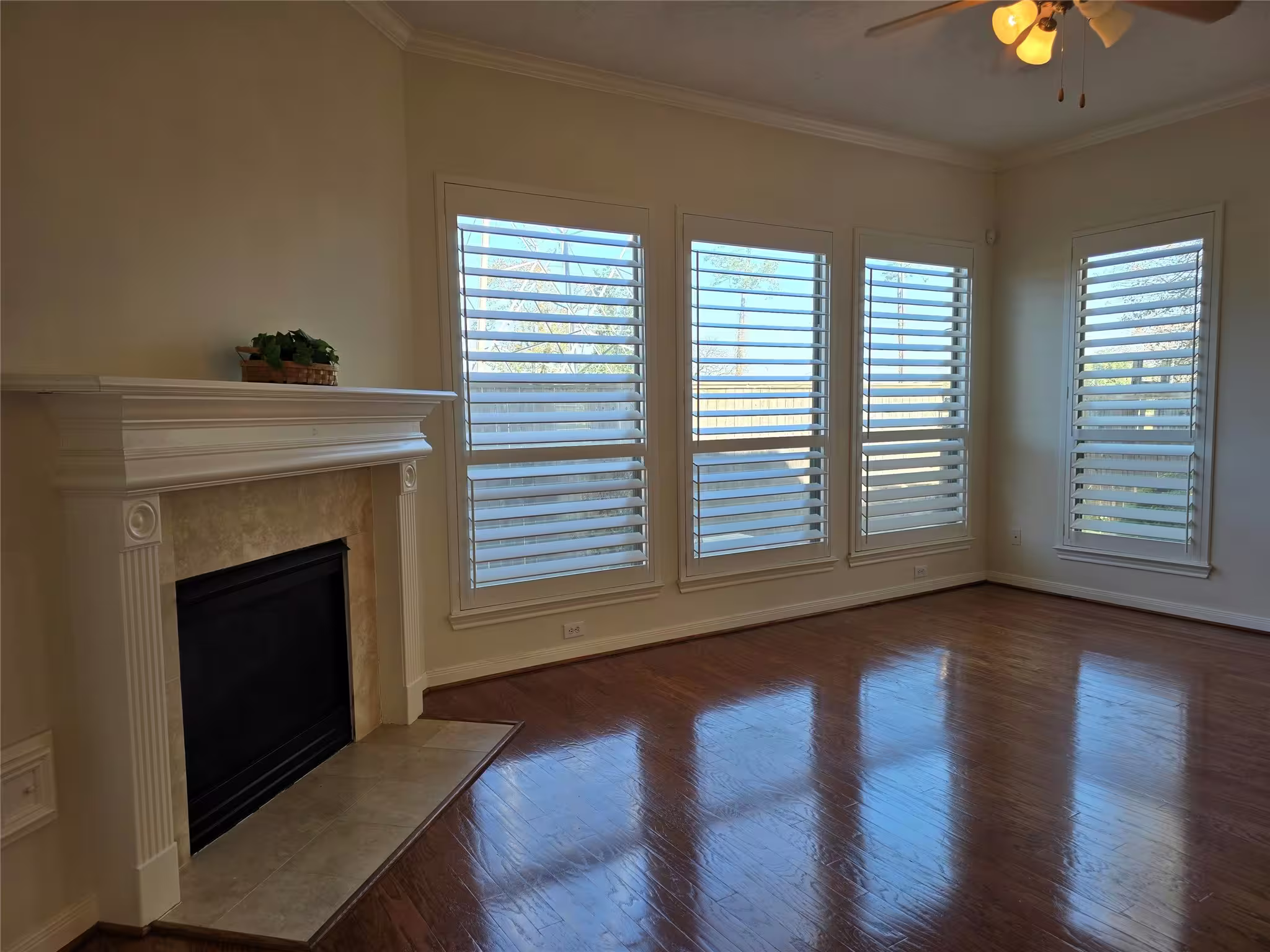 Photo 6 of 3716 N Becca Lane, Houston, TX