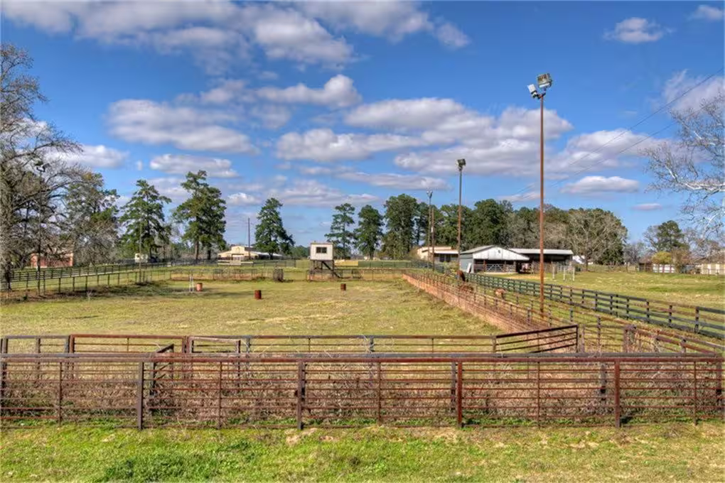 Photo 7 of 10436 League Line Road, Conroe, TX