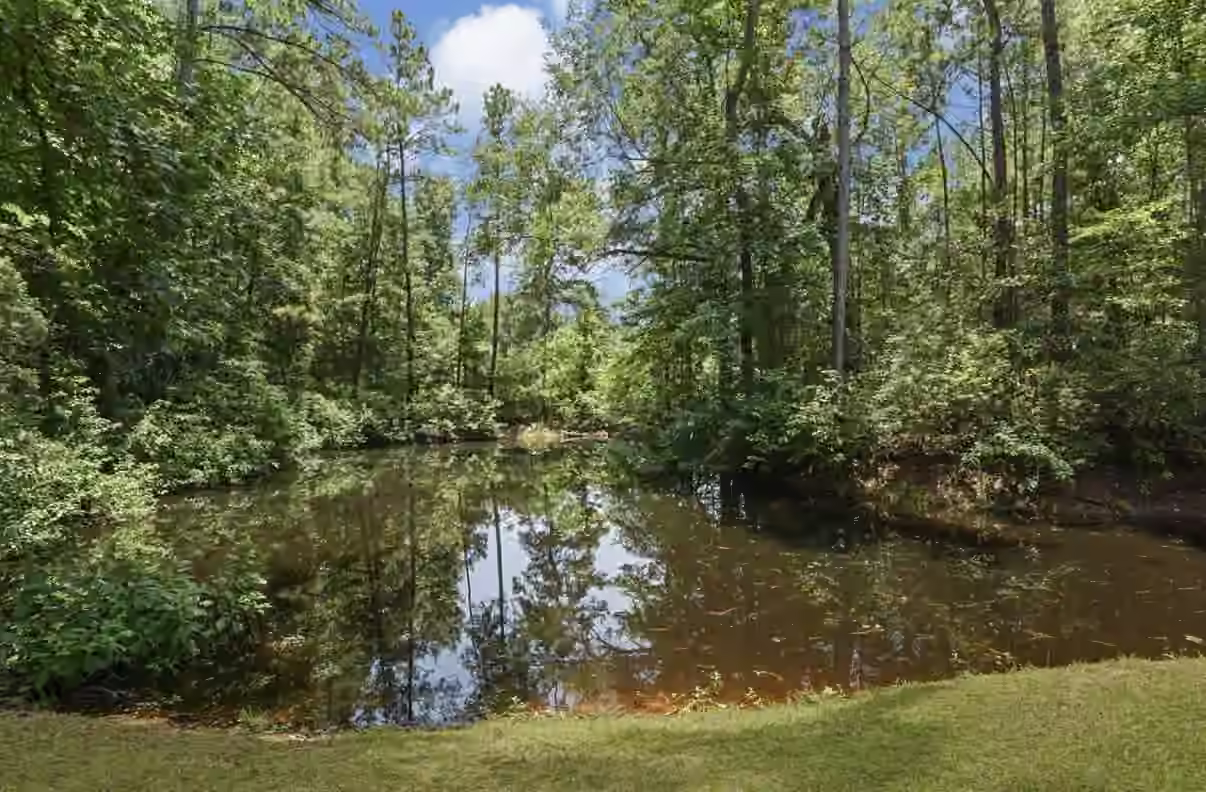 Photo 6 of 12509 Crockett Martin Road, Conroe, TX