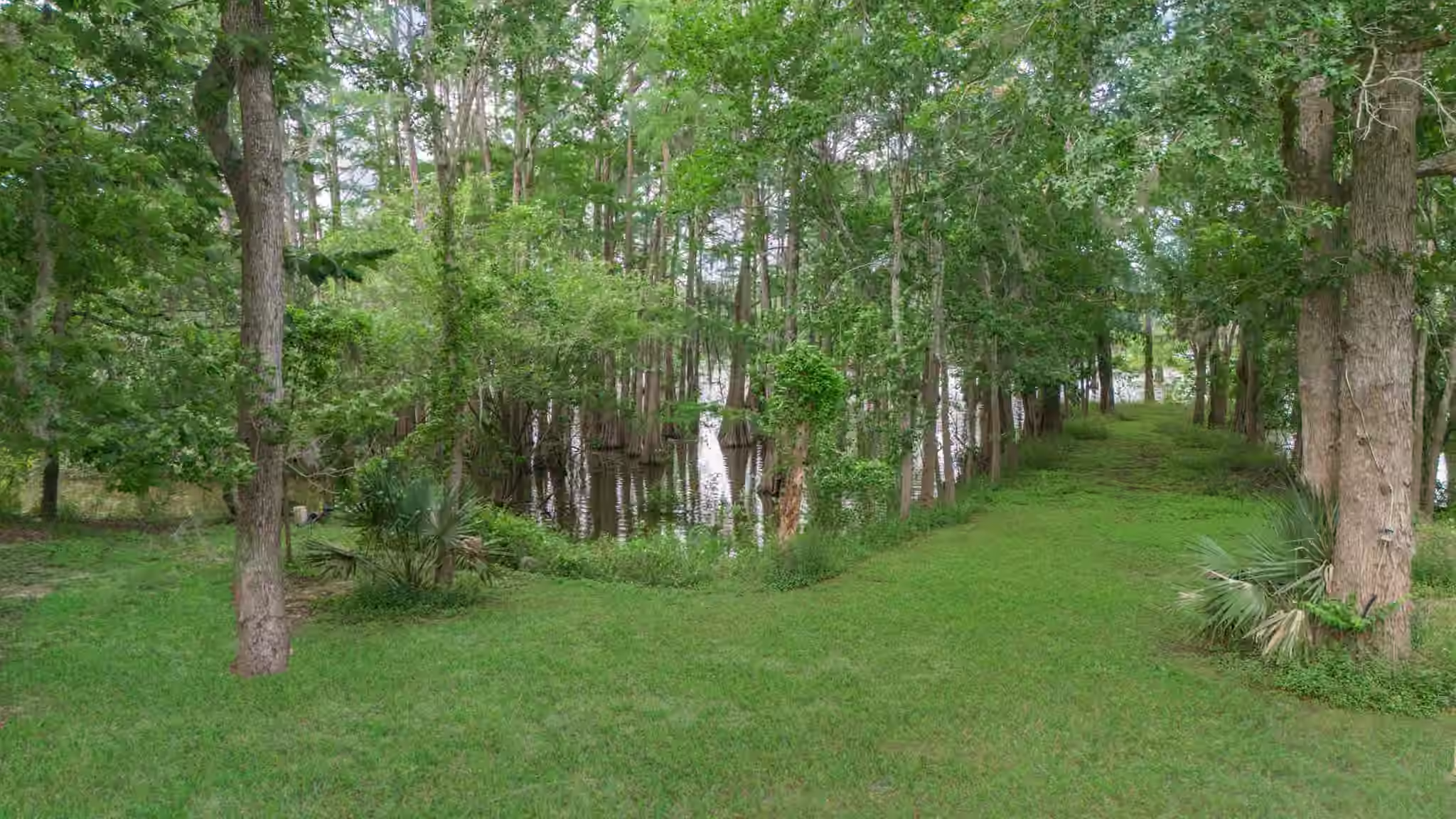 Photo 4 of 10881 Fm 1409, Dayton, TX