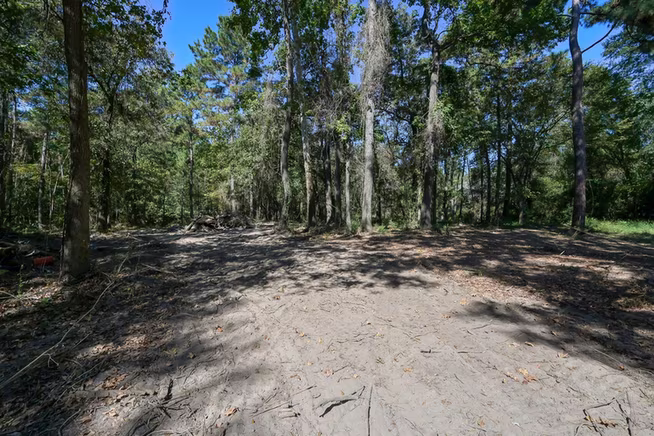 Photo 7 of 3005 Windmill Lane, Montgomery, TX