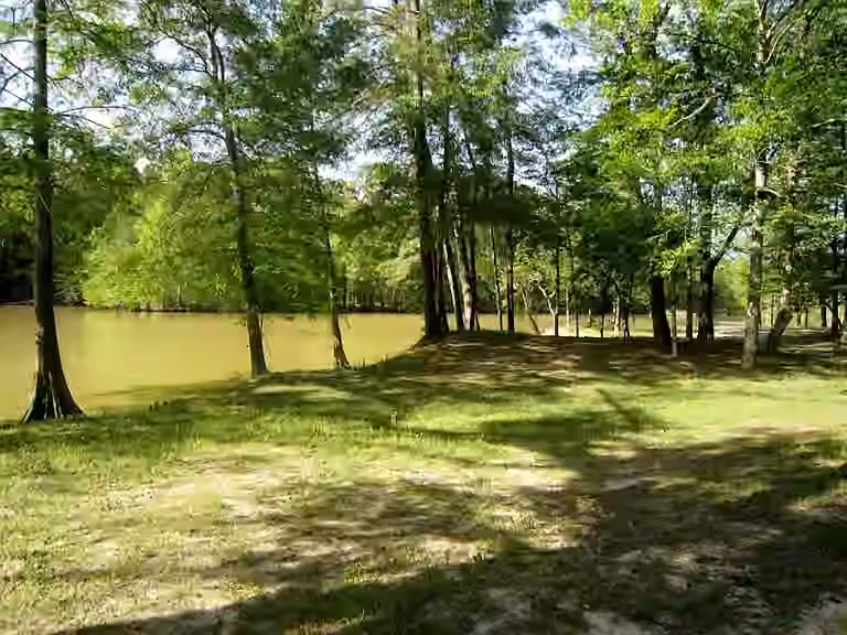 Photo 7 of 28710 Misty Oaks Drive, Huffman, TX