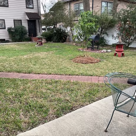 Photo 6 of 3805 Palm Street, Houston, TX
