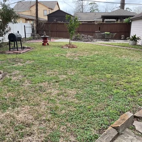 Photo 7 of 3805 Palm Street, Houston, TX