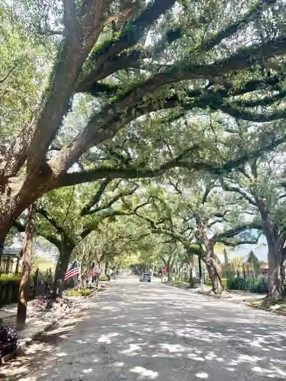Photo 3 of 309 Bayland Avenue, Houston, TX
