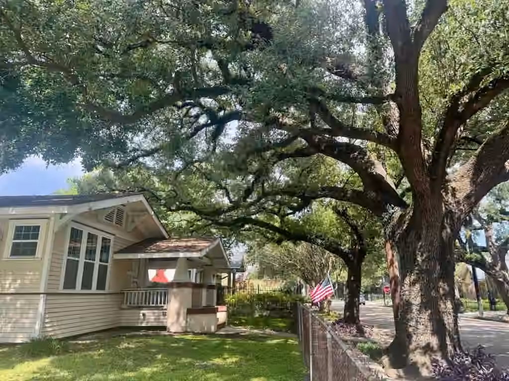Photo 4 of 309 Bayland Avenue, Houston, TX