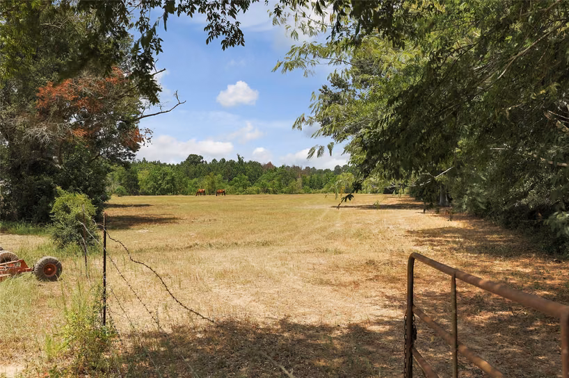 Photo 7 of 14945 Wiggins Road, Conroe, TX