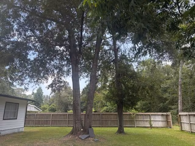 Photo 2 of 13953 Morgan Drive, Splendora, TX