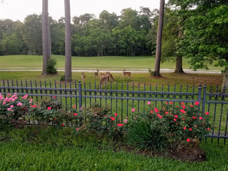 Photo 2 of 3303 N Cotswold Manor Drive, Kingwood, TX