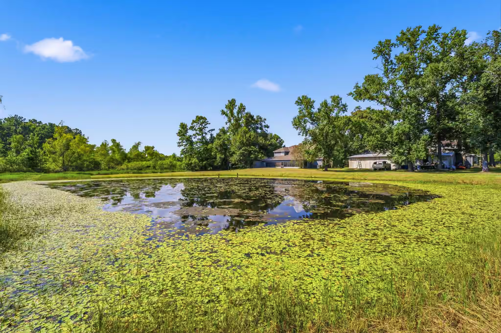 Photo 4 of 14228 Carpenter Road, Conroe, TX