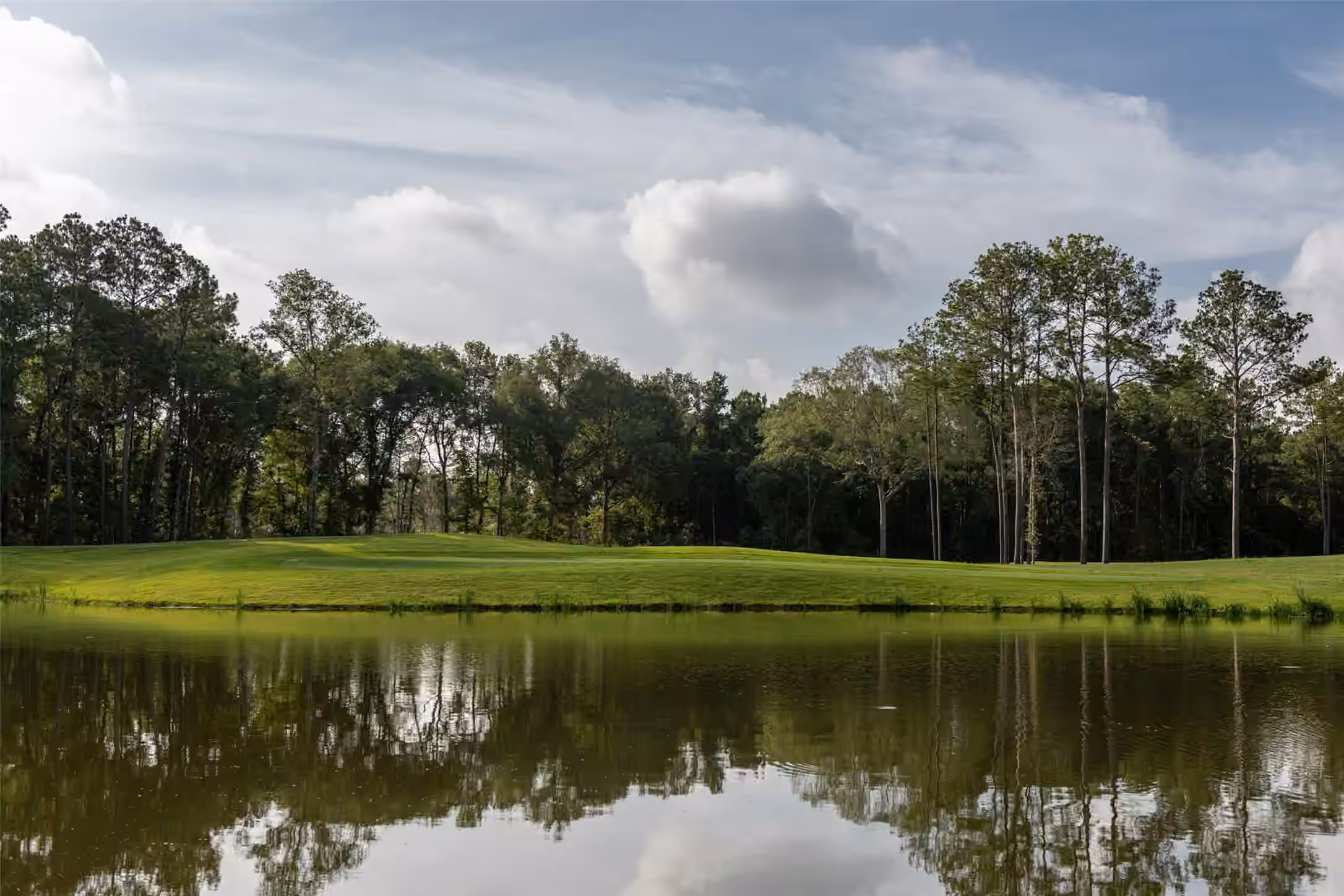 Photo 5 of 21853 Golden Putt Drive, Porter, TX