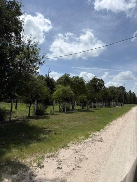 Photo 2 of 25660 Cemetery Road, Bedias, TX