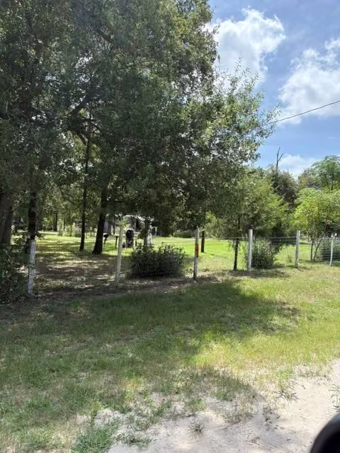 Photo 3 of 25660 Cemetery Road, Bedias, TX