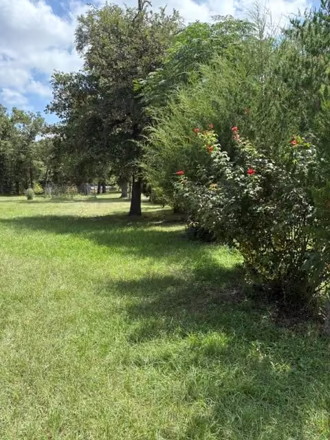 Photo 4 of 25660 Cemetery Road, Bedias, TX