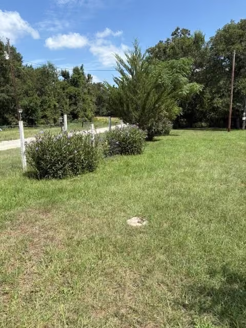 Photo 5 of 25660 Cemetery Road, Bedias, TX