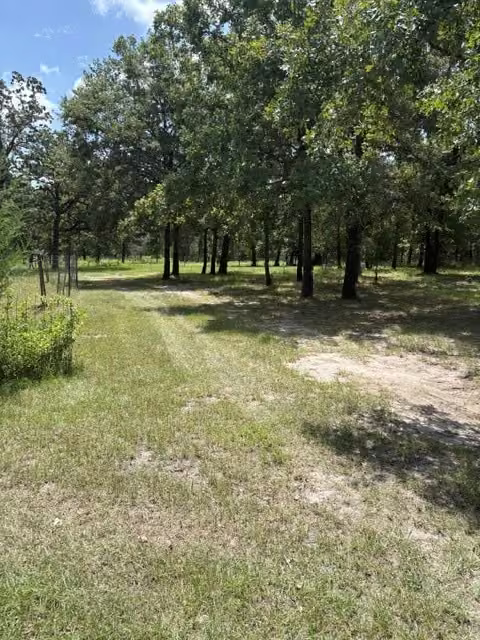 Photo 6 of 25660 Cemetery Road, Bedias, TX