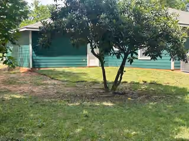 Photo 4 of 10440 Royal Adrian Drive, Conroe, TX