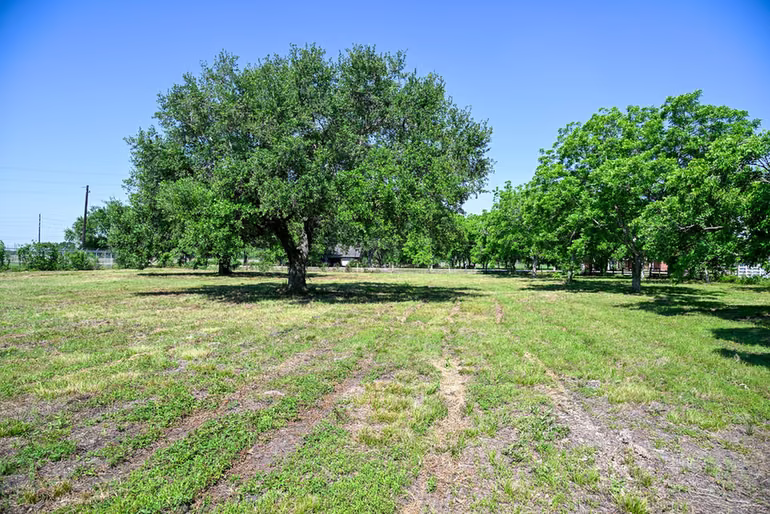 Photo 5 of 17215 County Road 831, Pearland, TX
