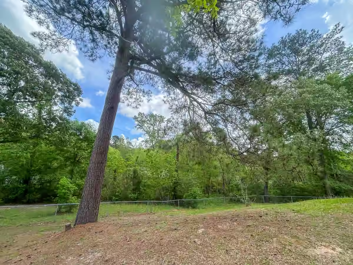 Photo 3 of 3221 Kingston Drive, Huntsville, TX