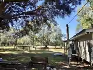 Photo 3 of 441 Wonderland Drive, Shepherd, TX