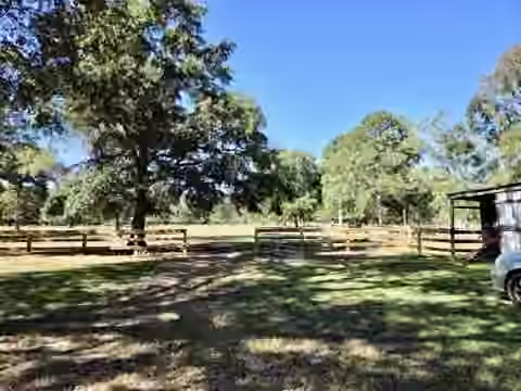 Photo 5 of 441 Wonderland Drive, Shepherd, TX