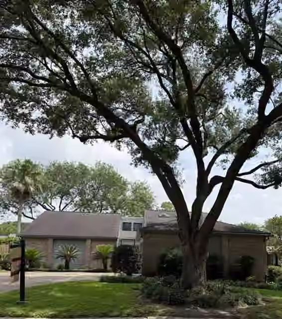 Photo 3 of 12206 Burgoyne Drive, Houston, TX