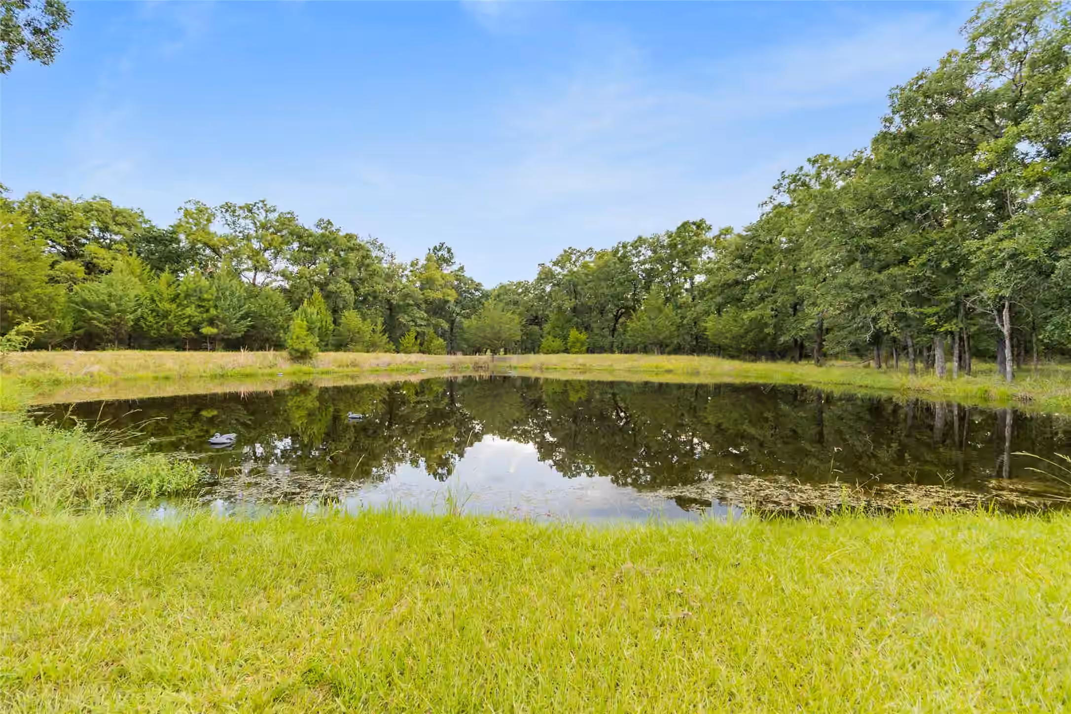 Photo 4 of 289 William Thomas Road, Huntsville, TX