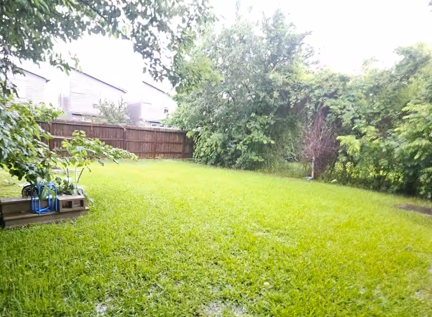 Photo 5 of 8505 Rubin Street, Houston, TX
