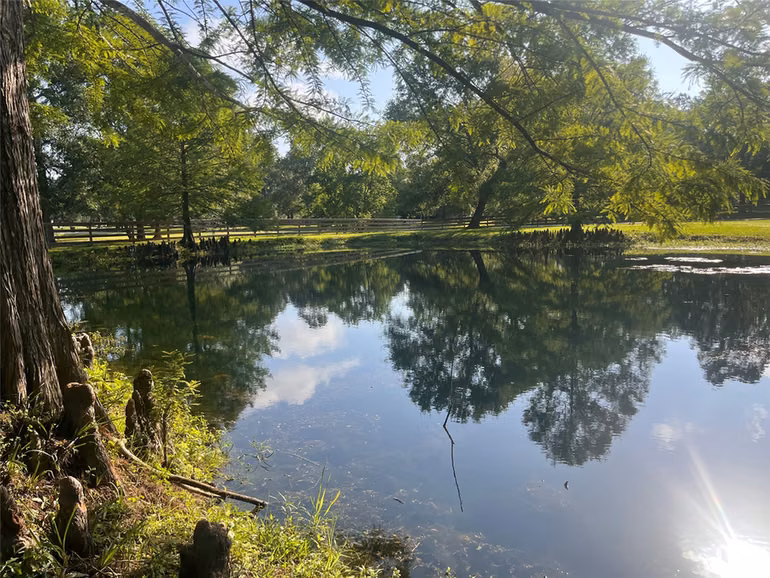 Photo 7 of 9644 Fosters Bend, Cleveland, TX