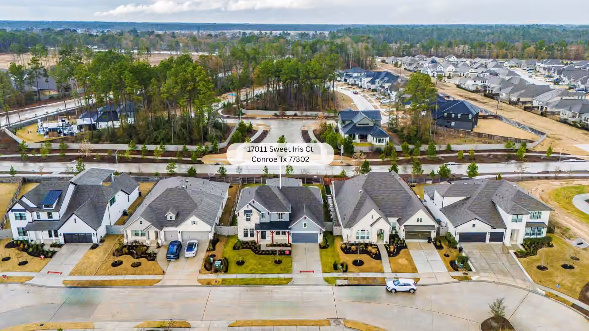Photo 3 of 17011 Sweet Iris Court, Conroe, TX