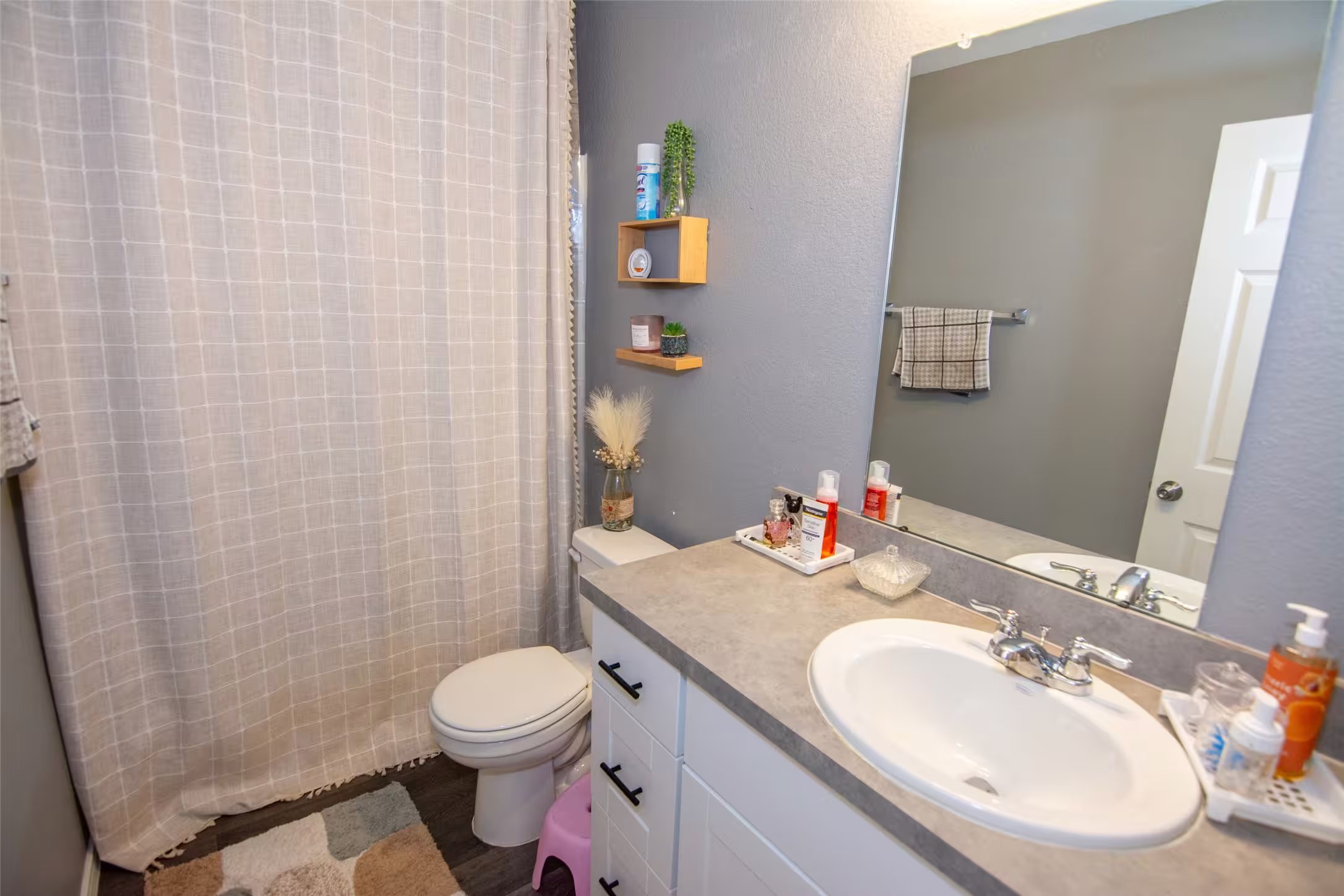 Photo 6 of 10507 Vinca Minor Lane, Houston, TX