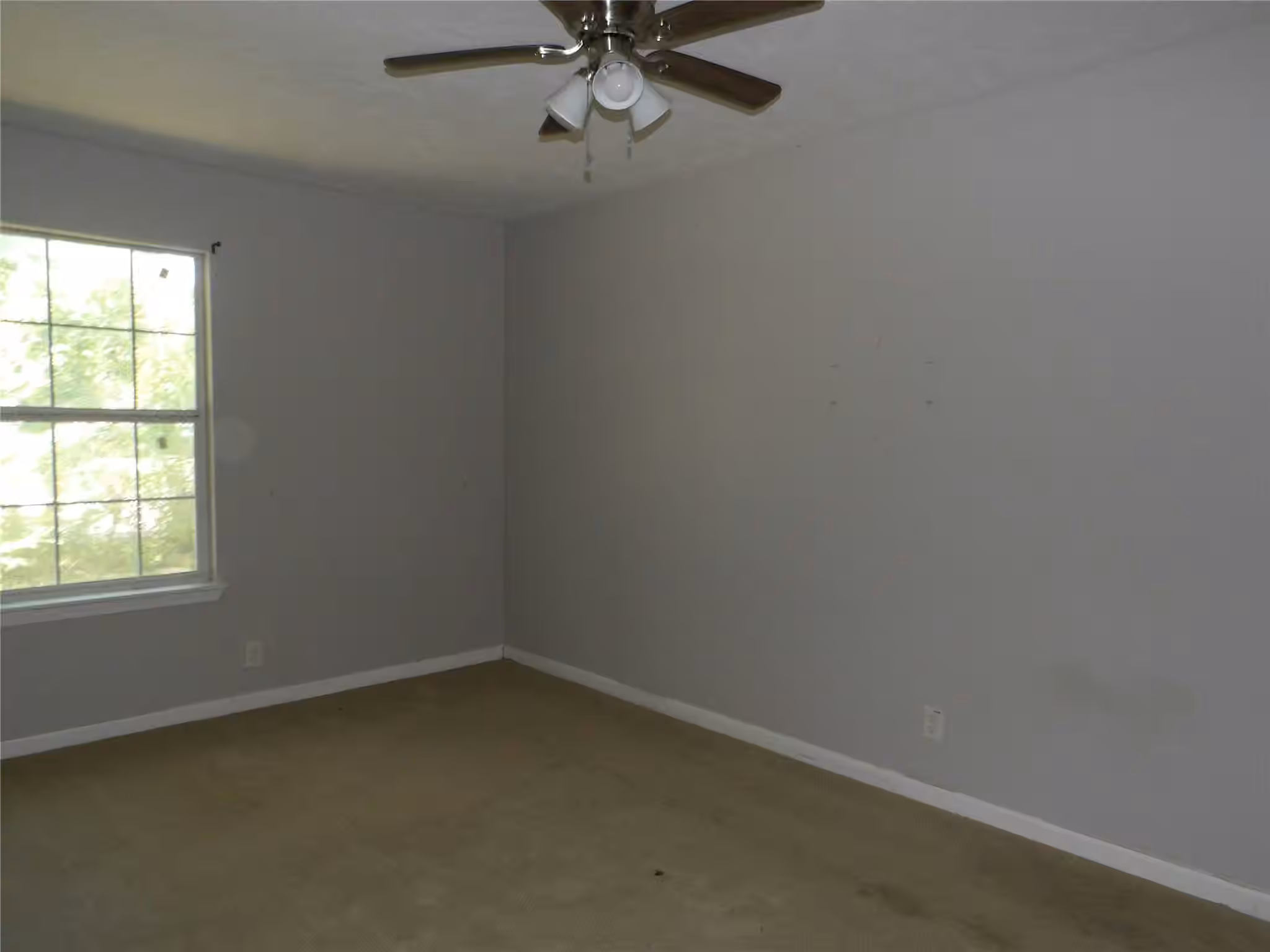 Photo 6 of 5783 Westover Street, Houston, TX