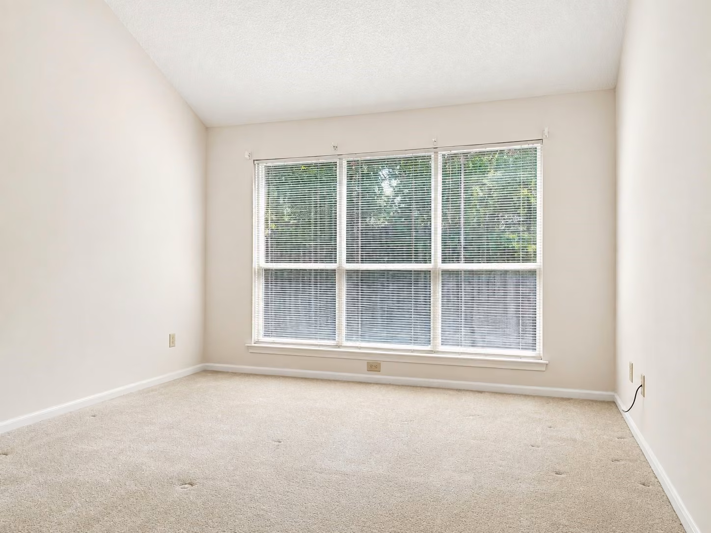 Photo 6 of 3904 Spring Circle Drive E, Pearland, TX